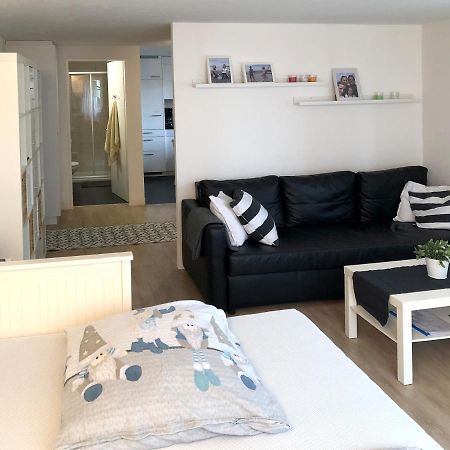Ferienwohnung Erlinsbach So Niedererlinsbach Екстер'єр фото